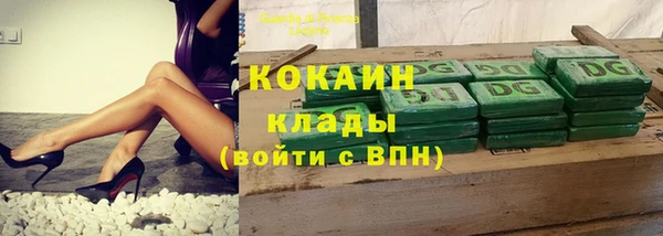 шишки Нея