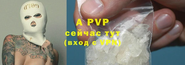MDMA Новозыбков