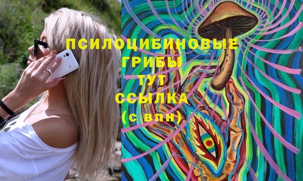 амфетамин Новодвинск