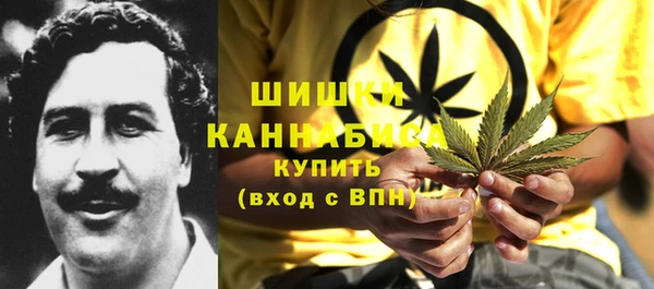 MDMA Новозыбков